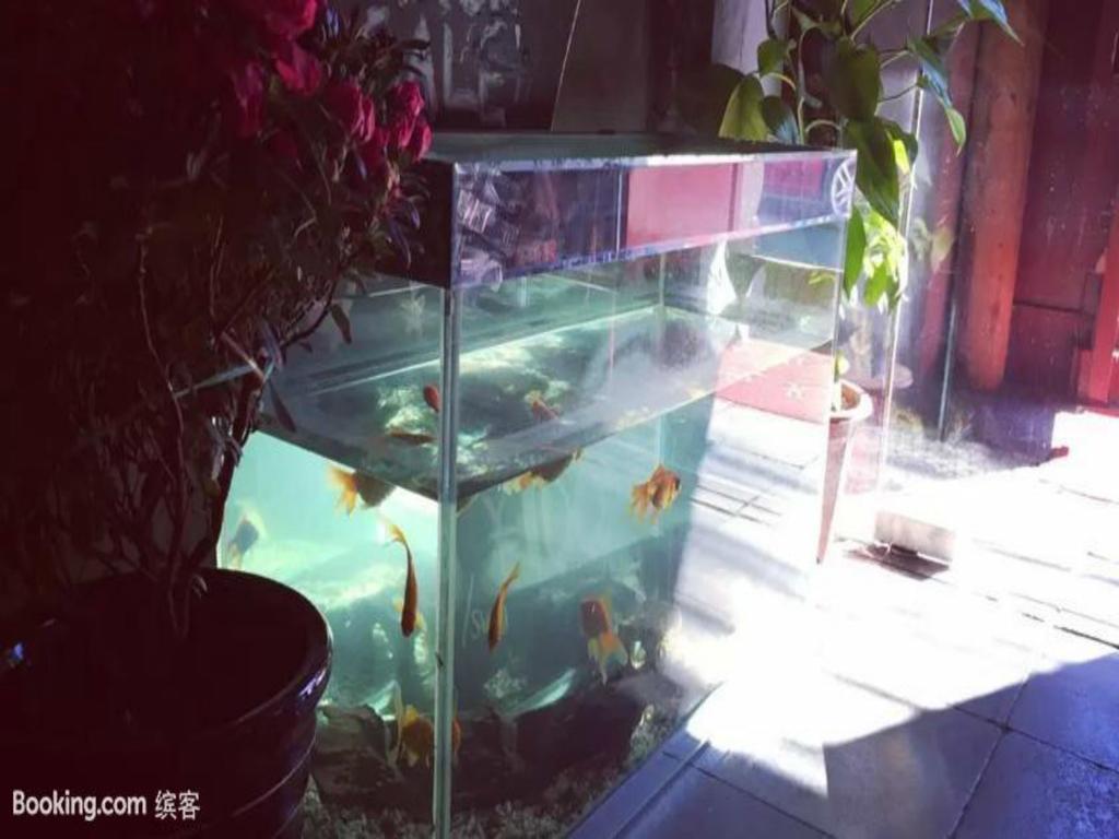 Three Legged Frog Hostel Пекін Екстер'єр фото