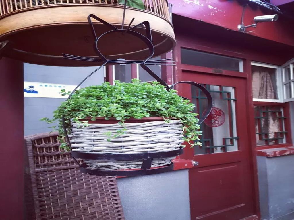 Three Legged Frog Hostel Пекін Екстер'єр фото